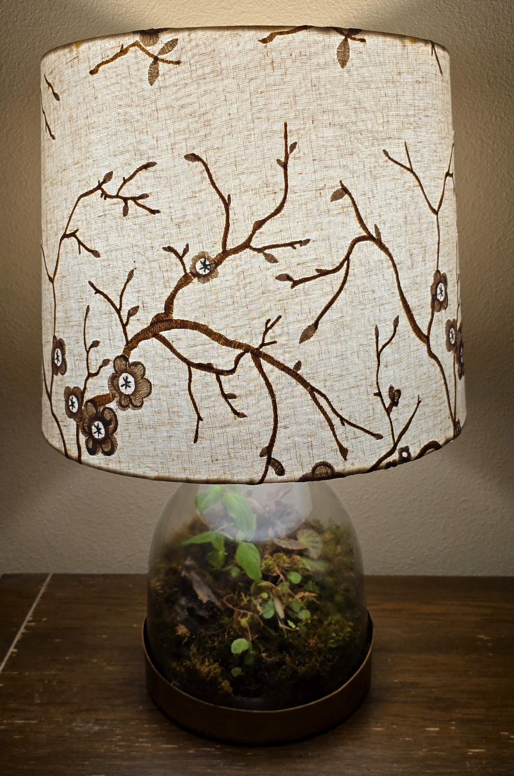 The Bornean Cloche Ark