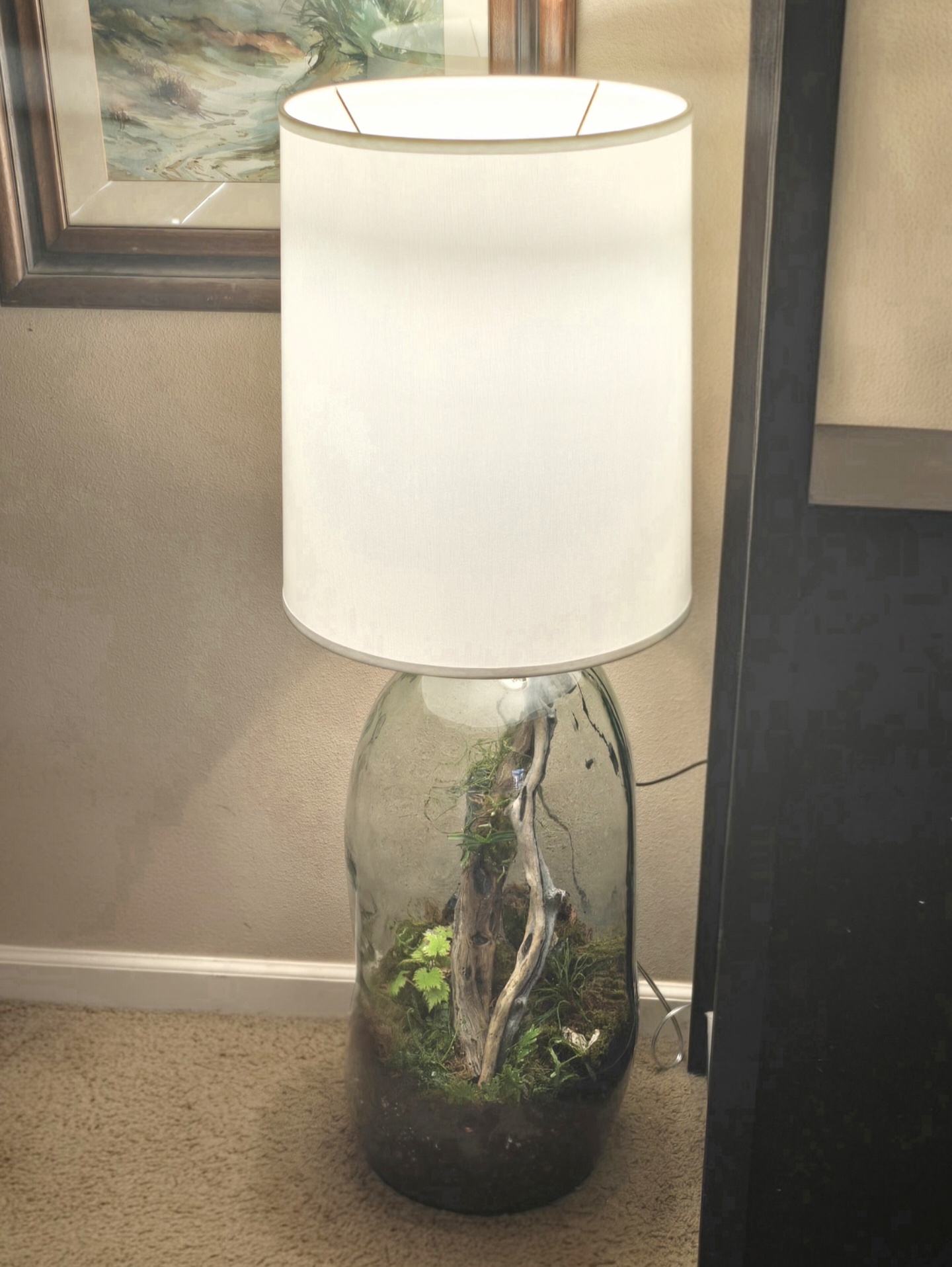 The Madagascan Ark wide view