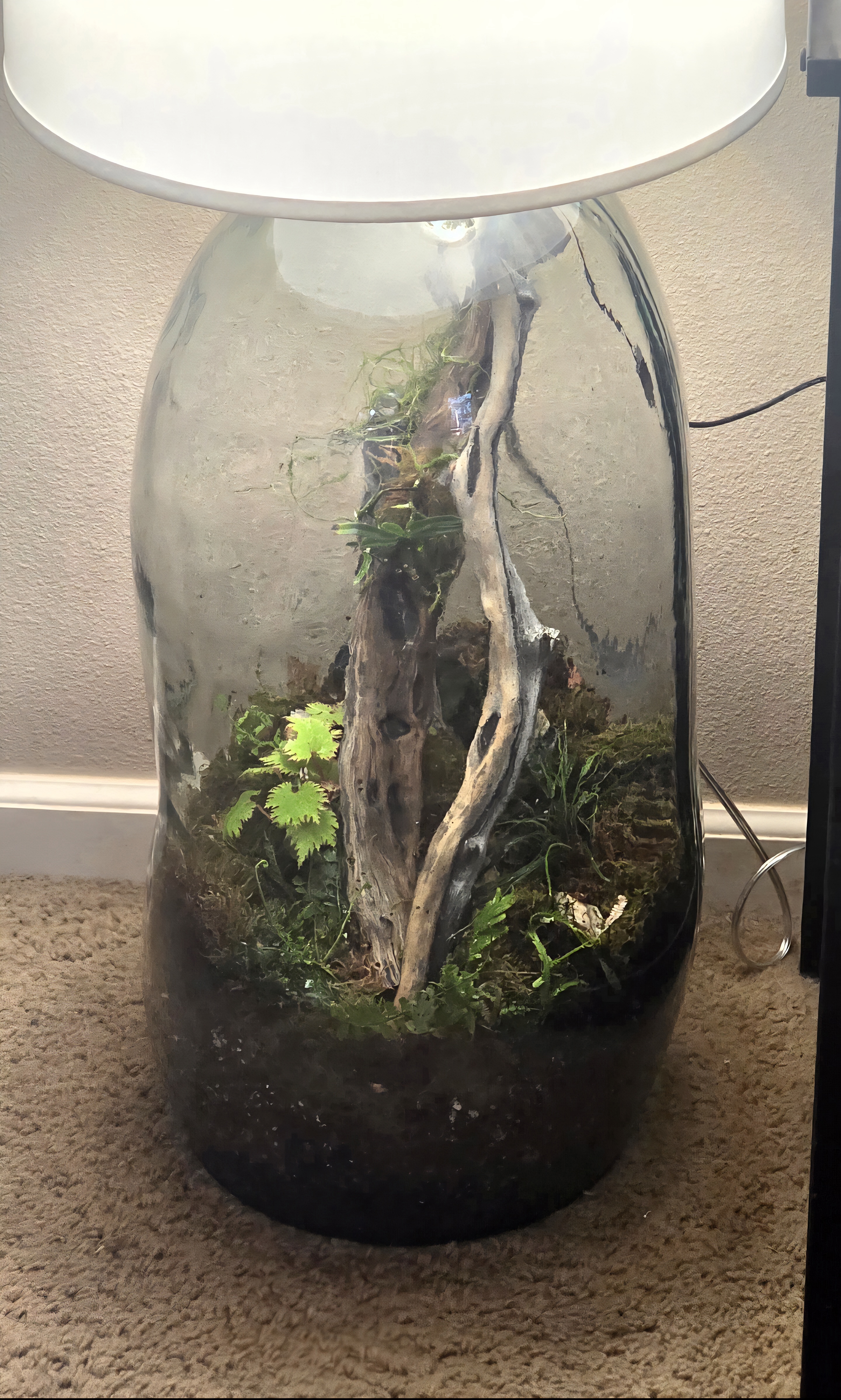 The Madagascan Ark close up of plants