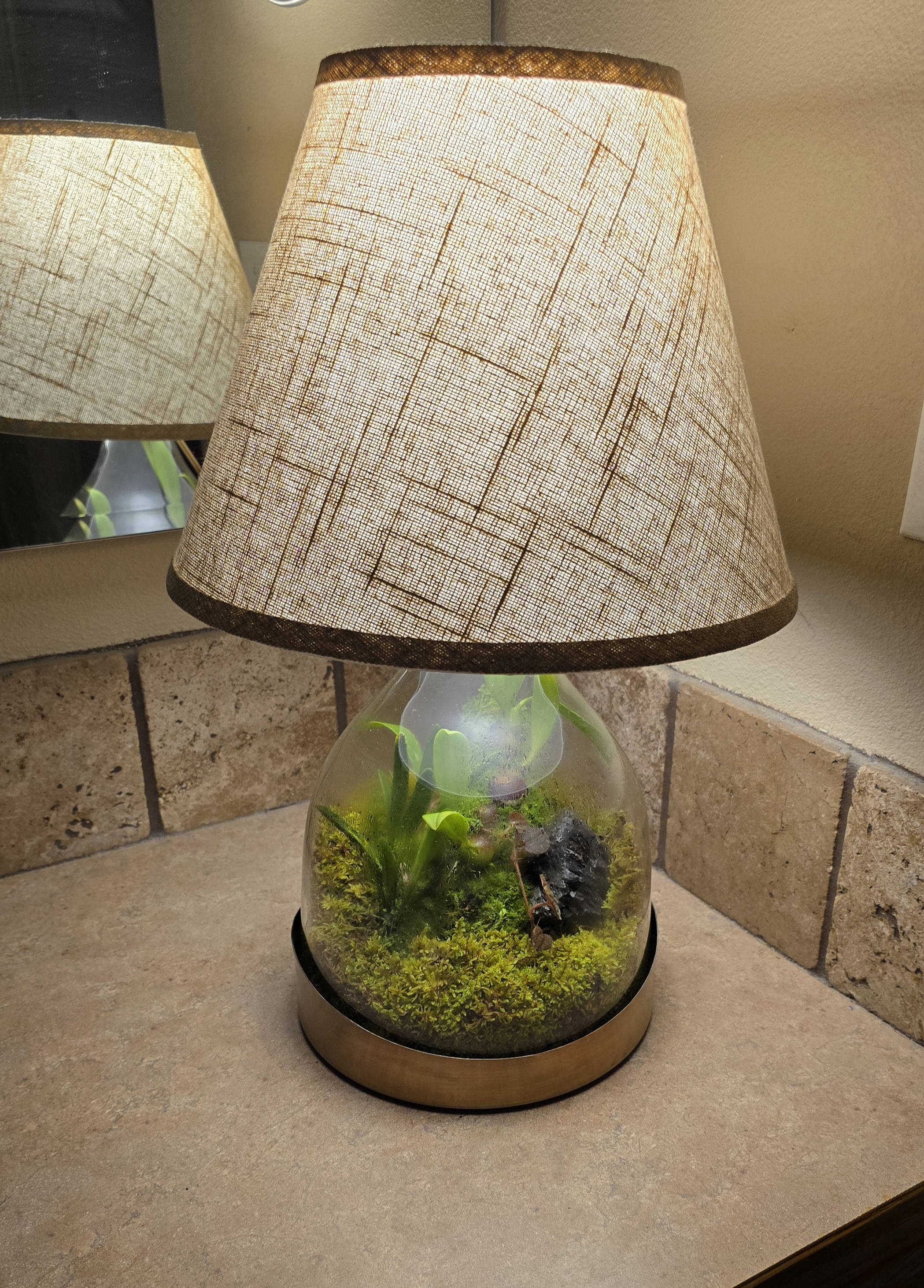 The Papua New Guinea Cloche Ark